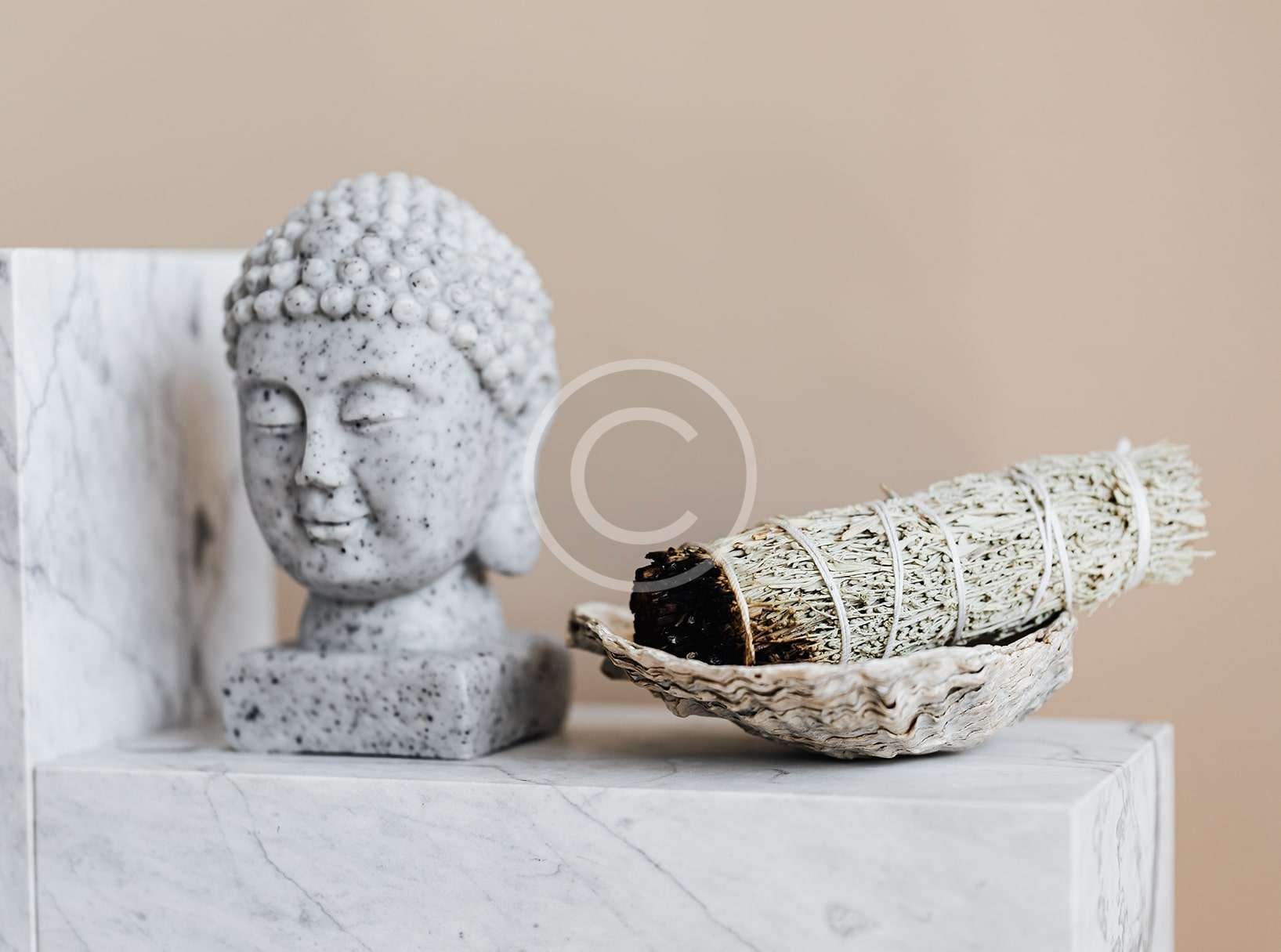 Tooth Powder - Imagem 4